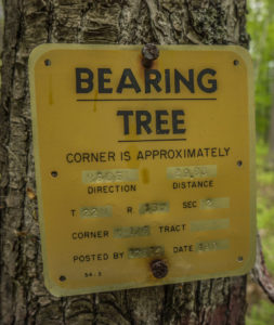 A Bearing Tree Showing a Property Corner