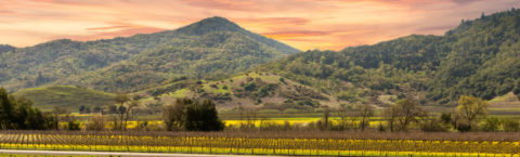 Need Help With Your Project in Napa and the Surrounding Bay Area?